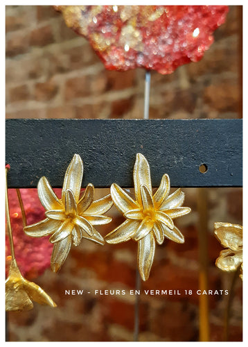Boucles d'oreilles Fleurs 