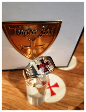 Chevalière argent 925 plein rhodié à l'or blanc (ANVERS) - Cristal naturel rouge